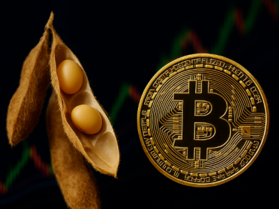 비트코인, 1970년대 콩(soybean) 버블 데자뷔?…차트 ‘확장형 상단’ 경고 vs 4분기 반등론