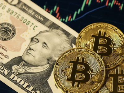 비트코인, ‘11만 4천 달러 방어’ 성공…다음 주 사상 최고가 재도전 시나리오