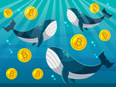 비트코인, 4개월 최저치로 밀렸다…JP모건 “기관 아닌 고래가 촉발”