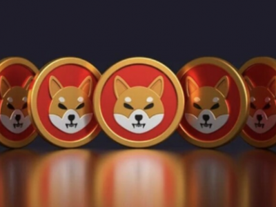 시바이누 반전 시동…현물 ETF ‘첫 신청’ 훈풍 속 소각률 208% 급등