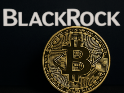 블랙록·피델리티도 흔들렸다… 크립토 ETF ‘경고등’ 점등, 재유입 포인트는?