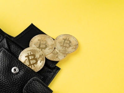 마이애미 시장 “비트코인 급여 300% 수익”…단기 하락에도 흔들리지 않는 이유