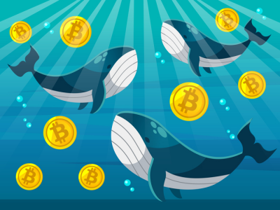 8년 잠든 비트코인 고래가 움직였다…400BTC 거래소 이체에 연말 시장 긴장