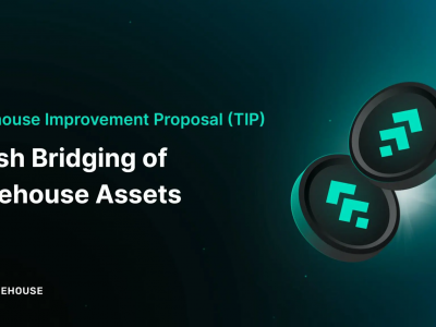 트리하우스, 멀티체인 ‘메쉬 브릿징’ 구상 공개