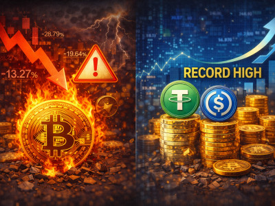 암호화폐는 흔들리는데 자금은 빠져나가지 않았다