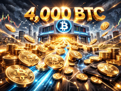비트코인 4,000BTC 거래소 이탈… 고래들의 '조용한 매집' 시작됐나