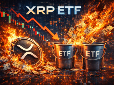 XRP ETF, 이달 들어 최대 순유출…21쉐어스·비트와이즈 등 주요 펀드 직격탄