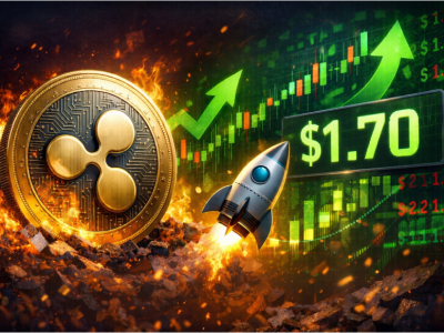 리플(XRP) 네트워크 활성도 '이상 고온'... 소각률 171% 폭증하며 1.7달러 탈환 신호탄 쏘나