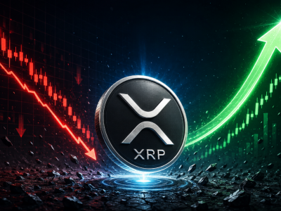 끝없는 하락장 속 리플(XRP) '역대급 과매도' 포착… 550% 폭발 랠리 신호탄 되나