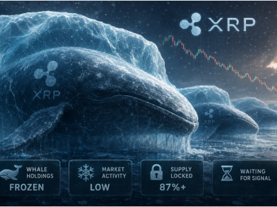 꽁꽁 얼어붙은 리플(XRP) 고래들… 2021년 이후 최저치 찍은 지표에 커지는 하방 압력